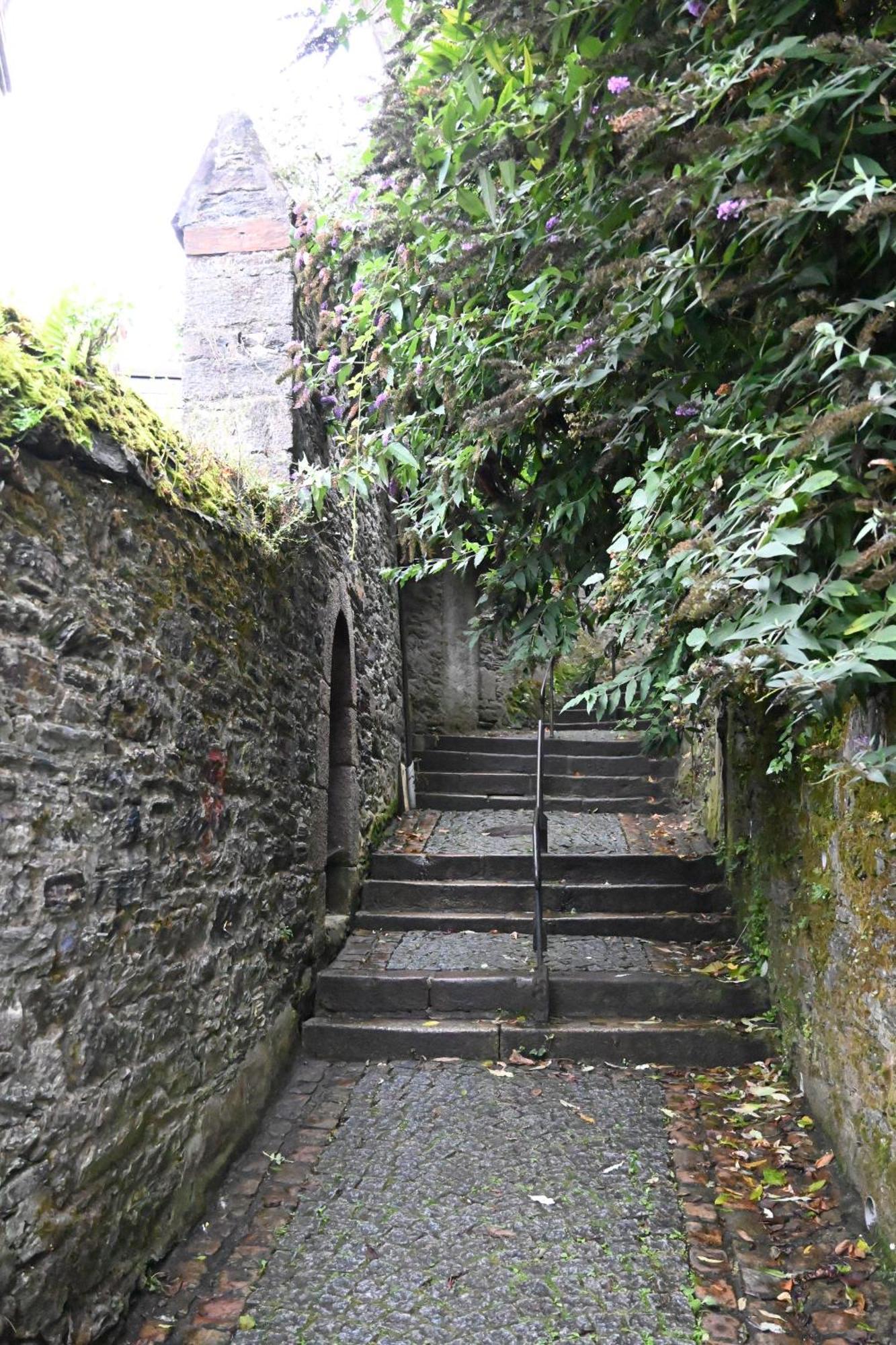Jardin Madeleine Apartment Morlaix Luaran gambar